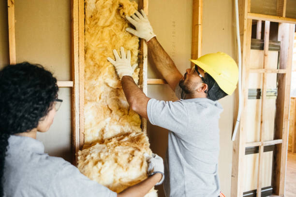 Best Eco-Friendly or Green Insulation Solutions  in Beaverton, MI